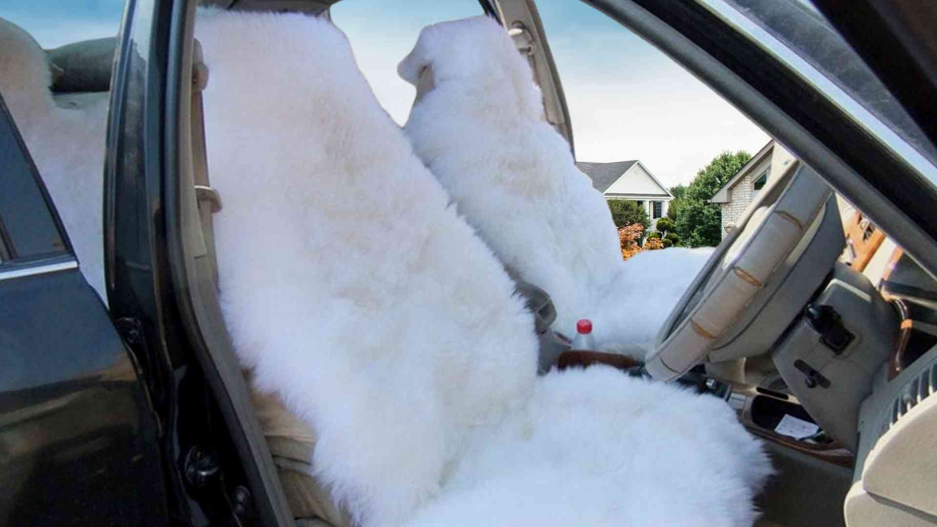 Sheepskin car seat covers